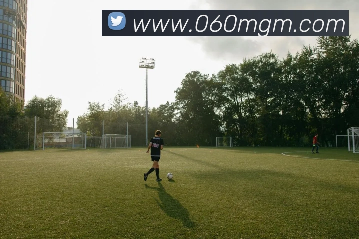 多媒体互动体验